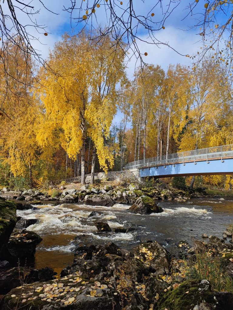 kämärinkoski-varkaus Kämärin koski syksyn väreissä
